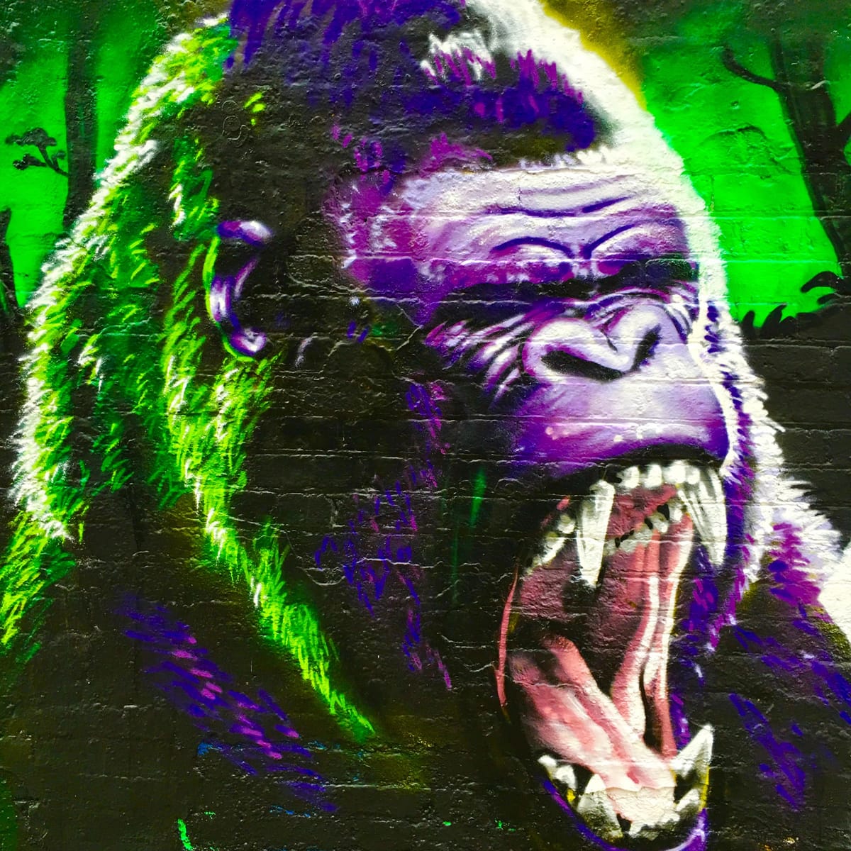 147 - Live at Nowhere Garden of Joy 2019-07-10 part 2