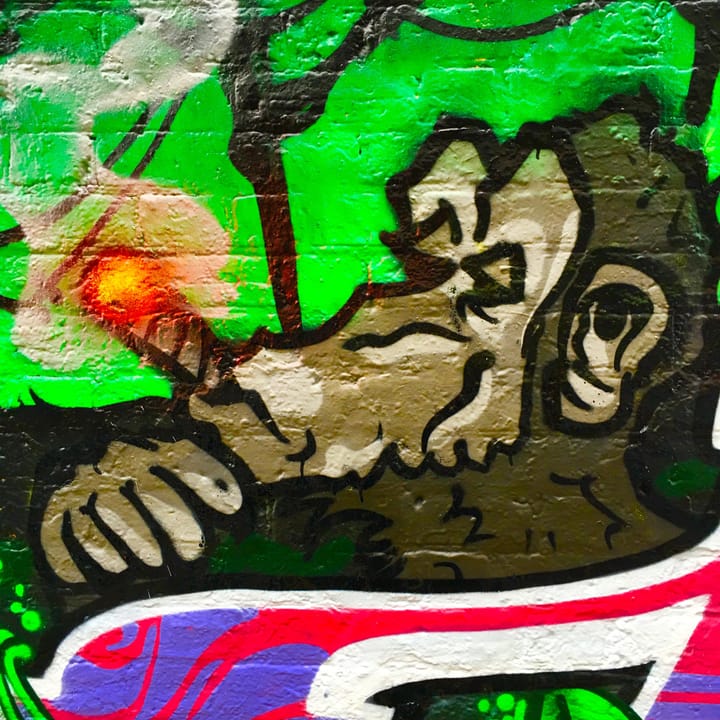 146 - Live at Nowhere Garden of Joy 2019-07-10